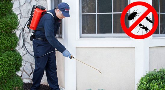 Bandırma Haşere İlaçlama böcek ilaçlama ve haşere kontrolü — ilaclama-tr.com